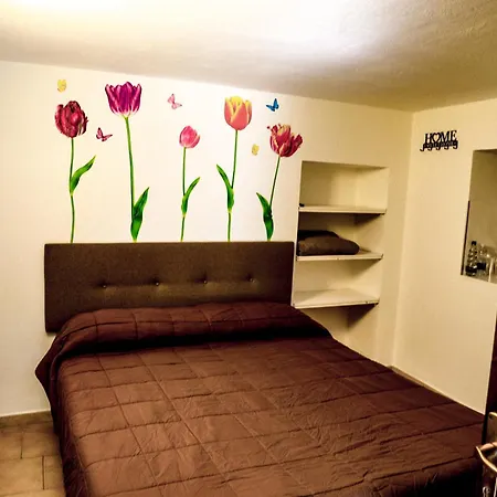 Vittoria House - Tulip And Tulip *