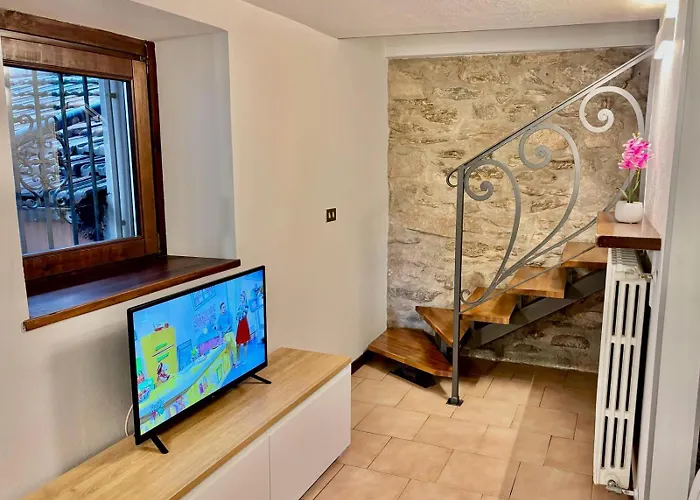 Vittoria House - Tulip And Tulip *