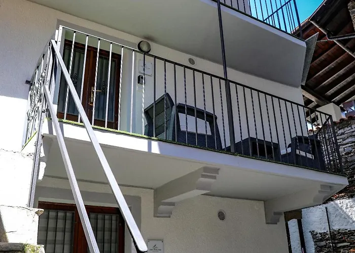 Vittoria House - Tulip And Tulip *