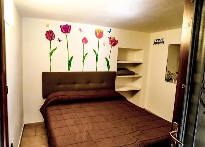 Vittoria House - Tulip And Tulip *